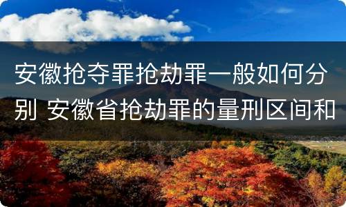 安徽抢夺罪抢劫罪一般如何分别 安徽省抢劫罪的量刑区间和量刑情节