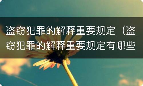 盗窃犯罪的解释重要规定（盗窃犯罪的解释重要规定有哪些）