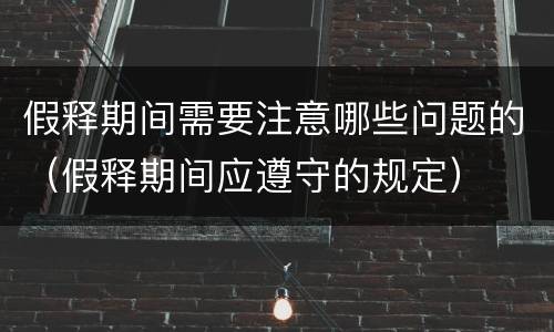 假释期间需要注意哪些问题的（假释期间应遵守的规定）
