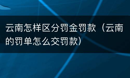 云南怎样区分罚金罚款（云南的罚单怎么交罚款）