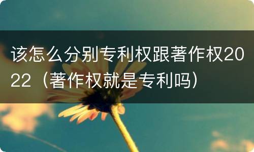 该怎么分别专利权跟著作权2022（著作权就是专利吗）