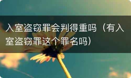 入室盗窃罪会判得重吗（有入室盗窃罪这个罪名吗）
