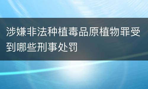 涉嫌非法种植毒品原植物罪受到哪些刑事处罚
