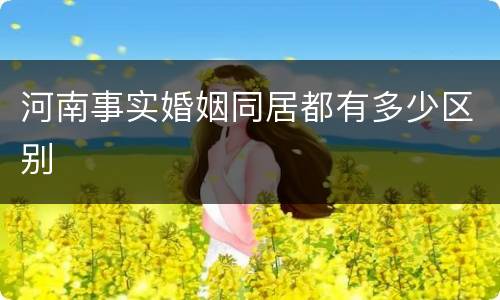 河南事实婚姻同居都有多少区别