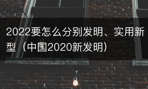 2022要怎么分别发明、实用新型（中国2020新发明）