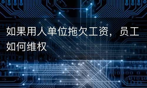 如果用人单位拖欠工资，员工如何维权