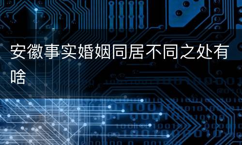 安徽事实婚姻同居不同之处有啥