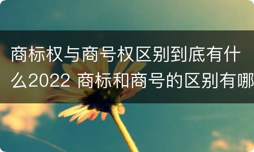 商标权与商号权区别到底有什么2022 商标和商号的区别有哪些?