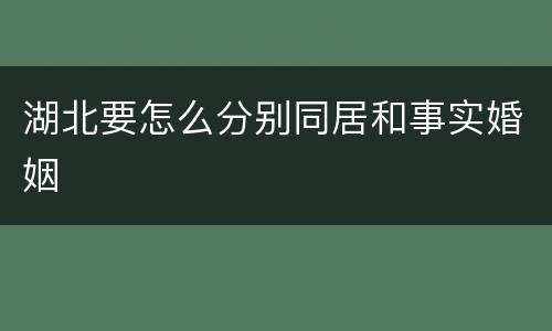 湖北要怎么分别同居和事实婚姻