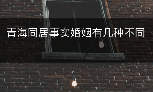 青海同居事实婚姻有几种不同