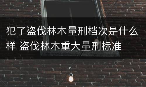 犯了盗伐林木量刑档次是什么样 盗伐林木重大量刑标准