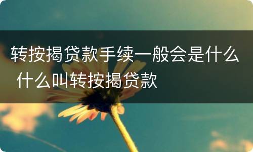 转按揭贷款手续一般会是什么 什么叫转按揭贷款