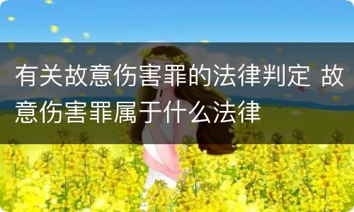 有关故意伤害罪的法律判定 故意伤害罪属于什么法律