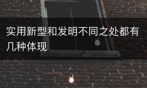 实用新型和发明不同之处都有几种体现