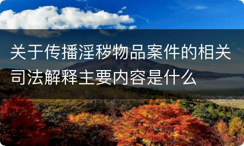 关于传播淫秽物品案件的相关司法解释主要内容是什么