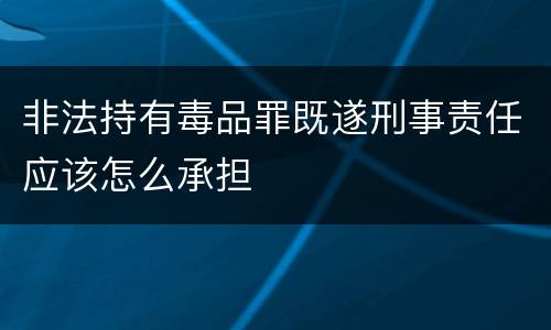 非法持有毒品罪既遂刑事责任应该怎么承担