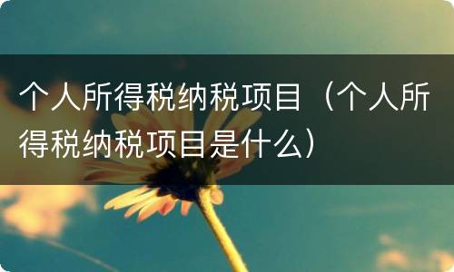 个人所得税纳税项目(个人所得税纳税项目是什么)