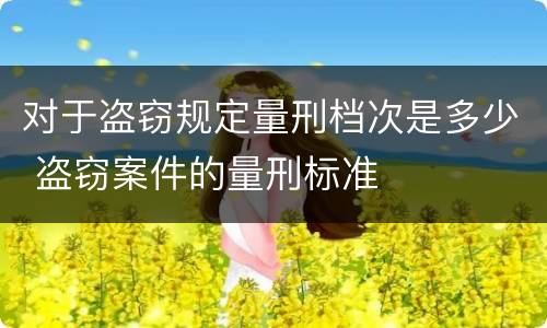 对于盗窃规定量刑档次是多少 盗窃案件的量刑标准