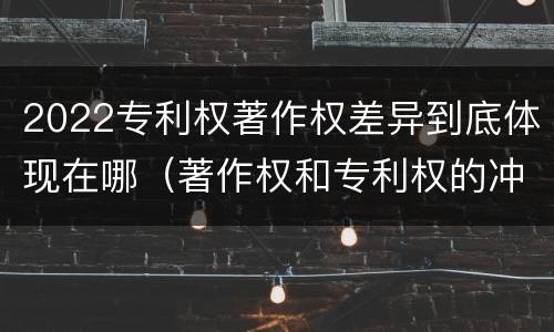 2022专利权著作权差异到底体现在哪（著作权和专利权的冲突）