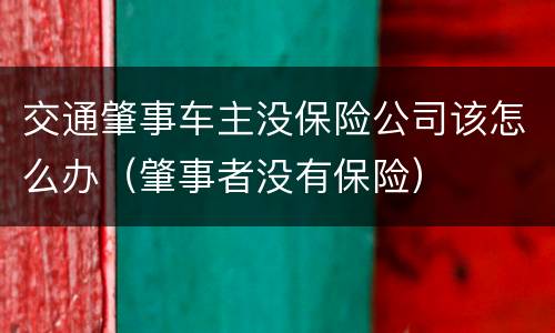 交通肇事车主没保险公司该怎么办（肇事者没有保险）