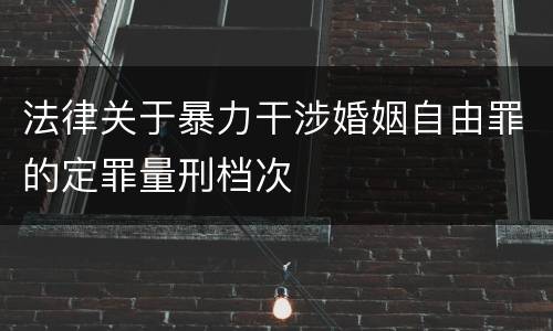 法律关于暴力干涉婚姻自由罪的定罪量刑档次
