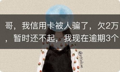 哥，我信用卡被人骗了，欠2万，暂时还不起，我现在逾期3个月了？我会不会坐牢。