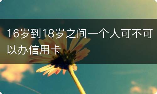 16岁到18岁之间一个人可不可以办信用卡