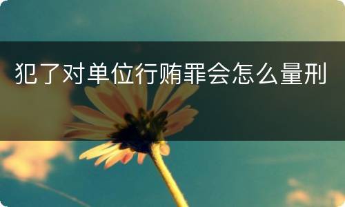 犯了对单位行贿罪会怎么量刑