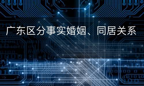 广东区分事实婚姻、同居关系