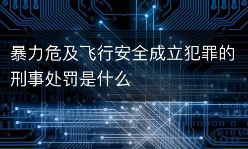 暴力危及飞行安全成立犯罪的刑事处罚是什么