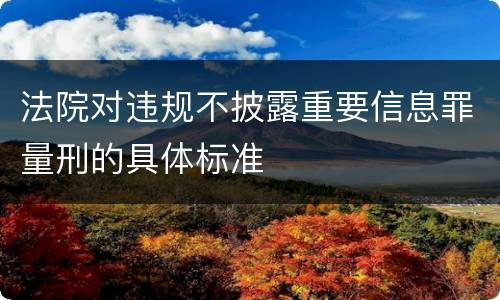 法院对违规不披露重要信息罪量刑的具体标准