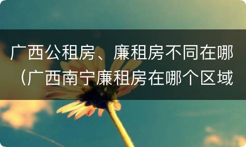 广西公租房、廉租房不同在哪（广西南宁廉租房在哪个区域）
