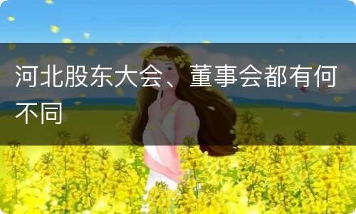 河北股东大会、董事会都有何不同