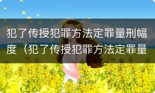犯了传授犯罪方法定罪量刑幅度（犯了传授犯罪方法定罪量刑幅度多大）