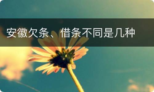 安徽欠条、借条不同是几种