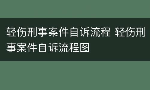 轻伤刑事案件自诉流程 轻伤刑事案件自诉流程图