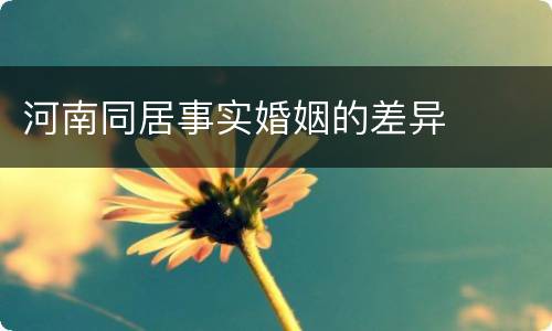 河南同居事实婚姻的差异