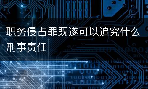 职务侵占罪既遂可以追究什么刑事责任