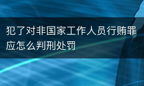 犯了对非国家工作人员行贿罪应怎么判刑处罚