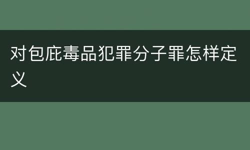 对包庇毒品犯罪分子罪怎样定义