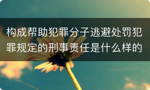 构成帮助犯罪分子逃避处罚犯罪规定的刑事责任是什么样的