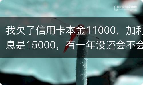 我欠了信用卡本金11000，加利息是15000，有一年没还会不会被案