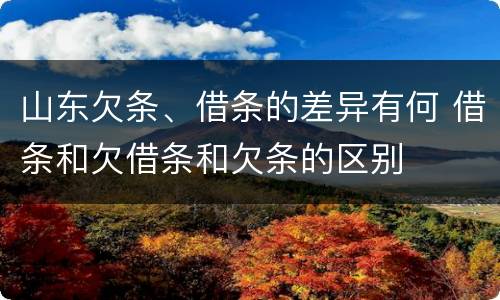 山东欠条、借条的差异有何 借条和欠借条和欠条的区别
