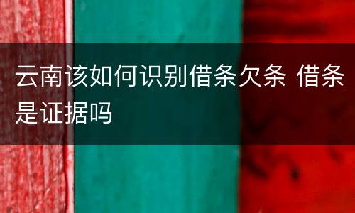 云南该如何识别借条欠条 借条是证据吗