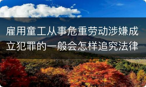 雇用童工从事危重劳动涉嫌成立犯罪的一般会怎样追究法律责任