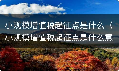 小规模增值税起征点是什么（小规模增值税起征点是什么意思）