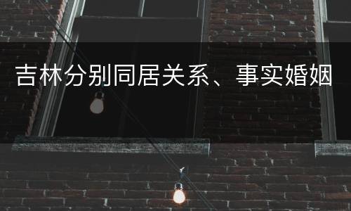 吉林分别同居关系、事实婚姻