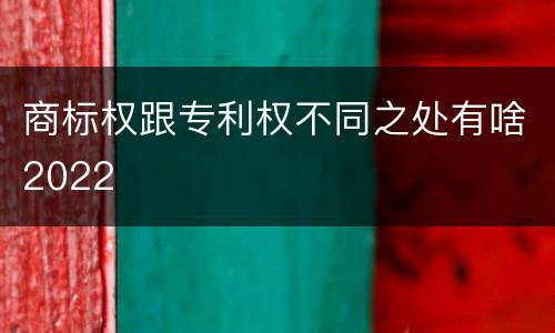 商标权跟专利权不同之处有啥2022
