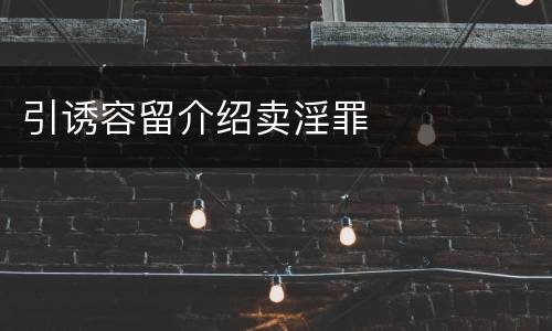 引诱容留介绍卖淫罪