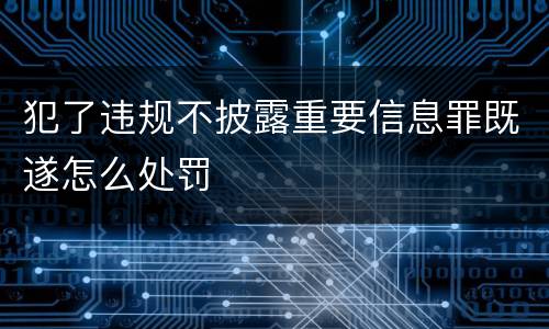 犯了违规不披露重要信息罪既遂怎么处罚